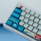 Coral Sea 104+22 PBT Dye-subbed Keycaps Set XDA Profile for MX Switches Mechanical Gaming Keyboard